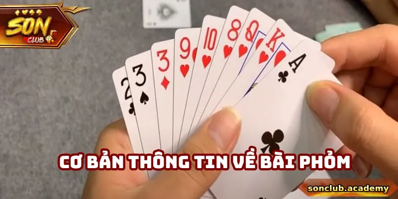 Phỏm - Chiến Lược Và Bí Quyết Để Trở Thành Cao Thủ 1 Cơ bản thông tin về bài phỏm