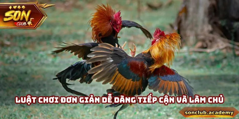 Trực Tiếp Đá Gà Mỹ Thomo - Tận Hưởng Kê Trường Đỉnh Cao 2 Luật chơi đơn giản giúp hội viên dễ dàng tiếp cận và tăng cơ hội làm giàu